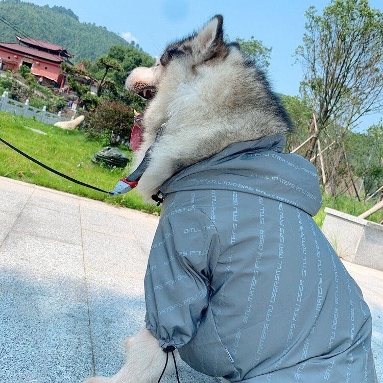 Pet Shield: Weatherproof Reflective Pet Clothing